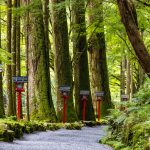 Approach to Okumiya of Kifune Shrine. Sakyo-ku, Kyoto, Japan