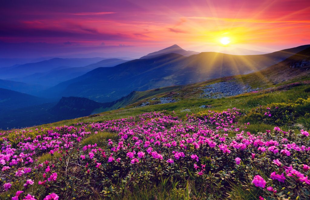 mountain landscape
